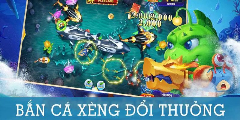 ban ca xeng 67a0c59e450b1